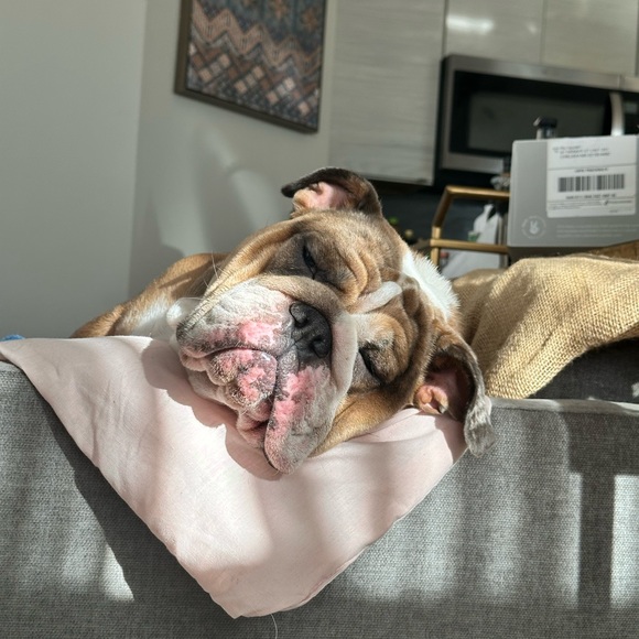 Always accepting offers ♥️ - Picture 4 of 6